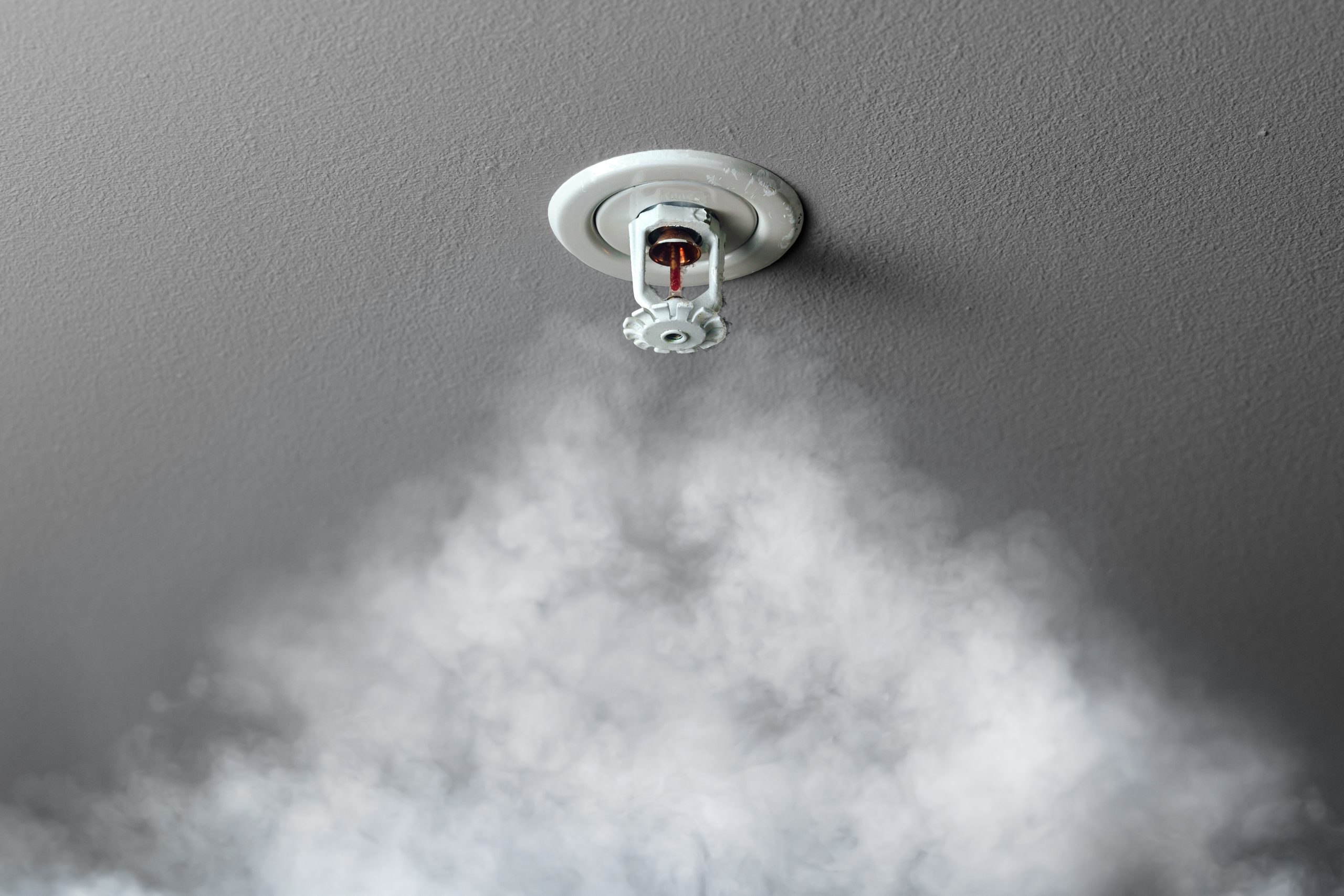 domestic sprinklers on ceiling