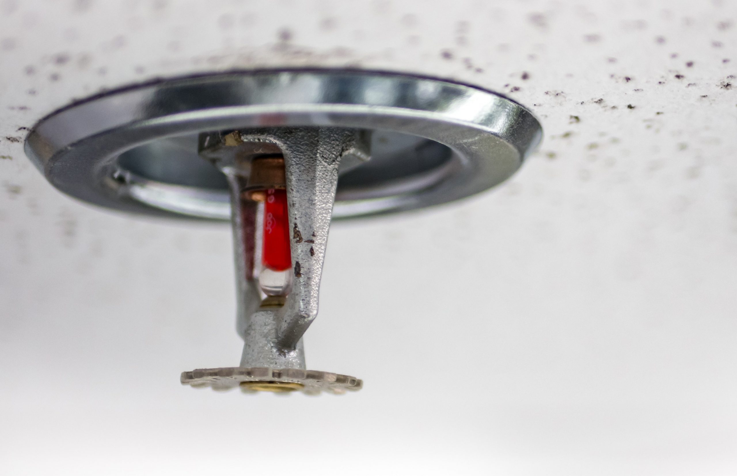 domestic sprinkler system